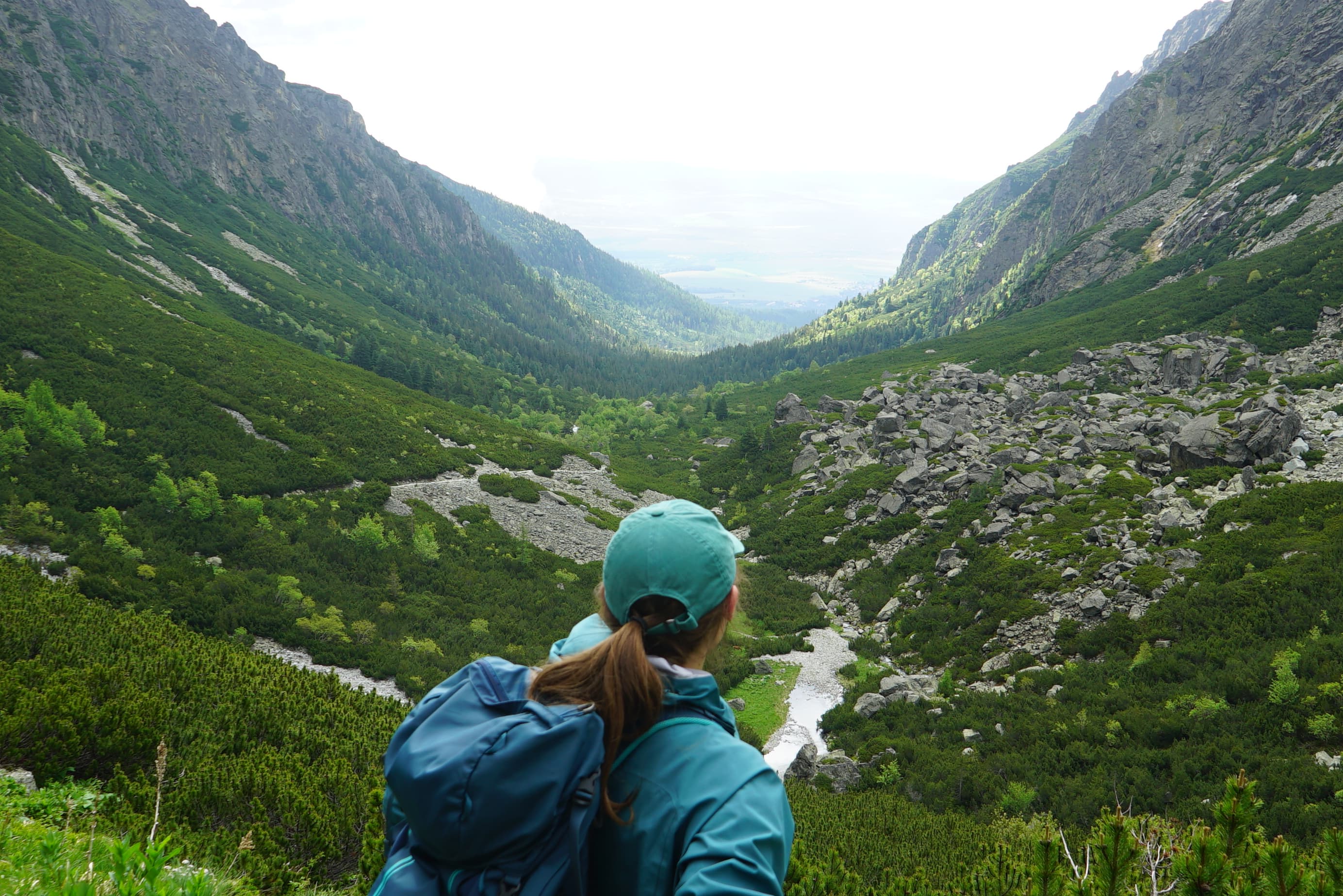 A hiker looking down a green glacial valley